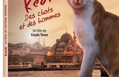 Concours KEDI DES CHATS ET DES HOMMES 2 DVD A GAGNER !!
