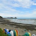 [Bretagne] Cancale, balade sur la grève