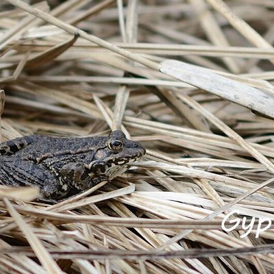 Bain de soleil, l'eau est froide.