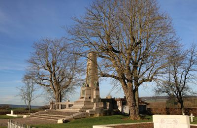 LES 2 ROBINIERS DE LA NECROPOLE NATIONALE DE CHAMPENOUX, 54280. Visite du 29 décembre 2012.