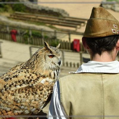 Comprendre le "Bal des Oiseaux Fantômes".
