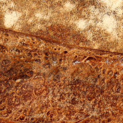 Bienvenue sur le blog de l'association "Les pieds sur terre" !