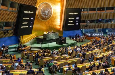 !!ALERTE!!ALERTE!! Dans l'indifférence générale de nos élus sur la guerre en Palestine, une interpellation + Point du jour