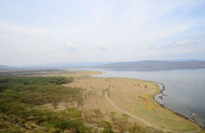 Nakuru - les babouins attaquent