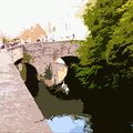 Coucou de Bruges