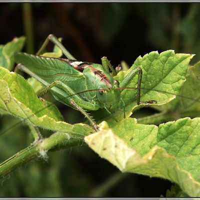 Photo du 5 juillet 2011