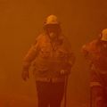 Incendies en Australie