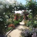 Le Jardin de Morailles et sa collection de roses anciennes, à visiter à Pithiviers le Vieil dans le Loiret...