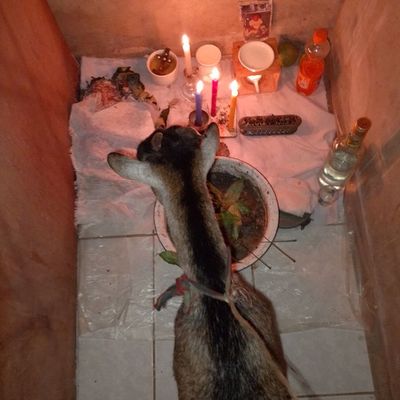 MARABOUT DU MONDE SPIRITUEL AKOUINDJI. TÉLÉPHONES WHATSAPP : +229 60 65 17 09 