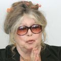 Lois liberticides : Brigitte Bardot condamnée à une amende de 15 OOO euros
