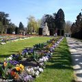 Le Square Lucien Beaufrère à Vierzon