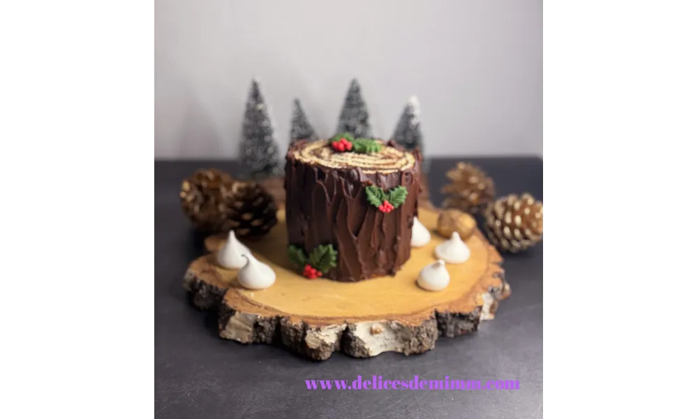 Bûche verticale au chocolat très simple