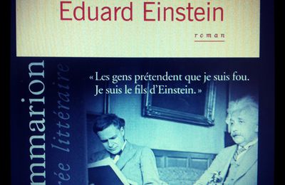 "Le cas Eduard Einstein", de Laurent Seksik