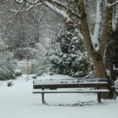 Photos du Dimanche !