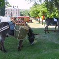 Nos activités : Médiévales de Nonancourt