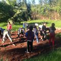 Reprise de l'activité jardinage par les enfants accueillis au siège d'Ourika Tadamoune