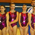 CHAMPIONNATS DE PICARDIE DE GYMNASTIQUE : UN PODIUM POUR LES HIRSONNAISES.