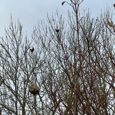 Vigilance !! Voisins Dangereux 