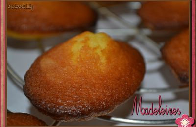 Madeleines 