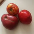 Salade de tomate simple et efficace