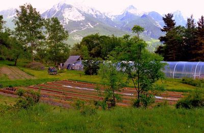 Les jardins des terres vivantes - Puy-Saint-André