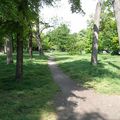 Les petits chemins du bois de Boulogne.