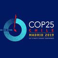 La COP 25..pourquoi ?..Pour quoi faire ?..