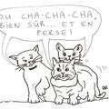 Quand 3 chats se rencontrent, que peuvent-ils bien chanter ?