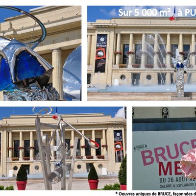 SPECTACULAIRE EXPOSITION DE 64 SCULPTURES METALLIQUES de BRUCE à PUTEAUX