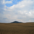 Terril et champ de blé