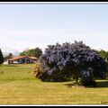  10) Vacances dans les Pyrénées - mai 2008