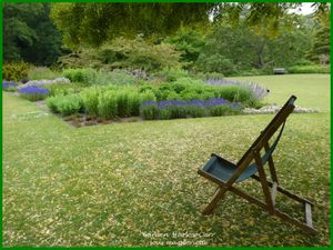 Les jardins de Harlow Carr; YORKSHIRE, Angleterre - 1ère partie/2