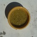 Sauce au piment vert