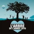 Elisez l'arbre de l'année 2016 avec Terre-Sauvage et l'ONF