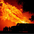 Incendies en Californie