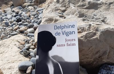 # 381 Jours sans faim, Delphine de Vigan