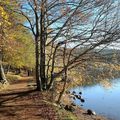 Ardèche : le lac du bouchet