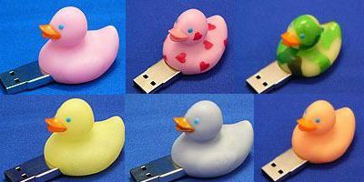 clé usb canard