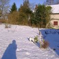 mon jardin enneigé