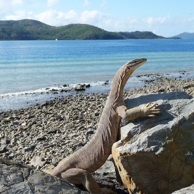 Whitsunday Islands