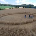 Crop Circle au Brésil