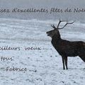 Joyeux Noël....