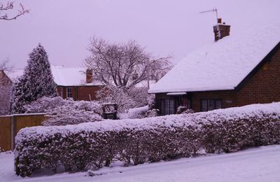 Canterbury under snow (February)