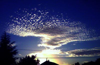 On pourrait définir le ciel comme l'endroit que les hommes évitent -H.Thoreau-