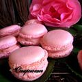 Macarons à la rose...de mon jardin !