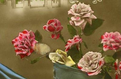 11 novembre 1918 au 72e RI et 272e RI