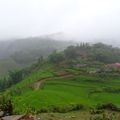 Sapa