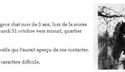 Petite annonce - Perdu chat