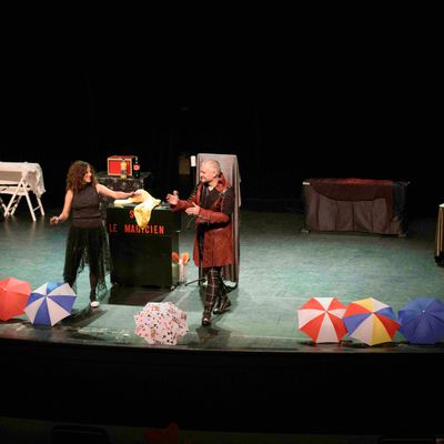 Spectacle Théâtre de la Mouche St Genis Laval 69