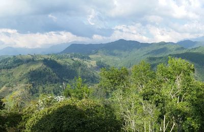 Un petit voyage en Colombie !